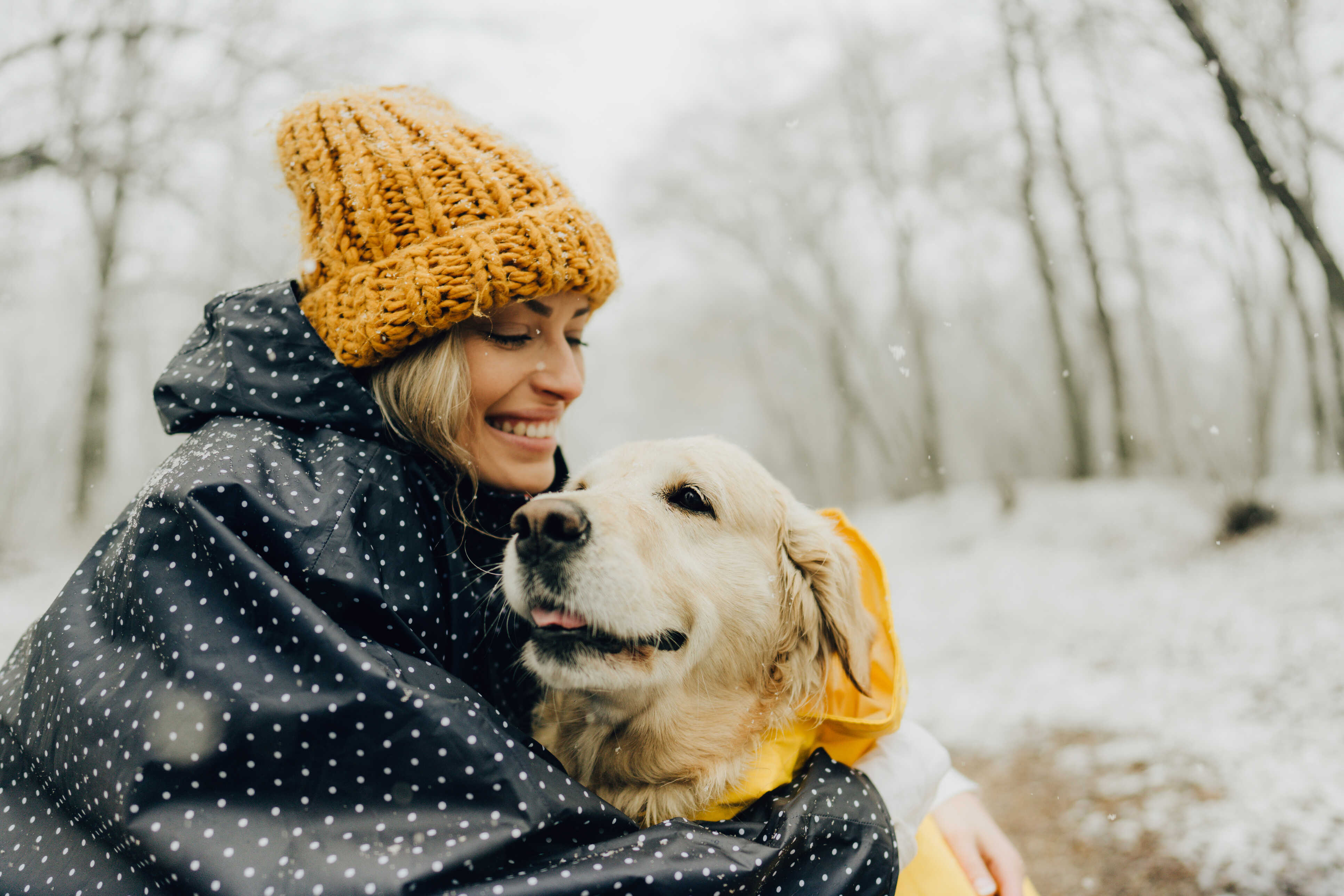 Comment aider votre chien à affronter l'hiver ?